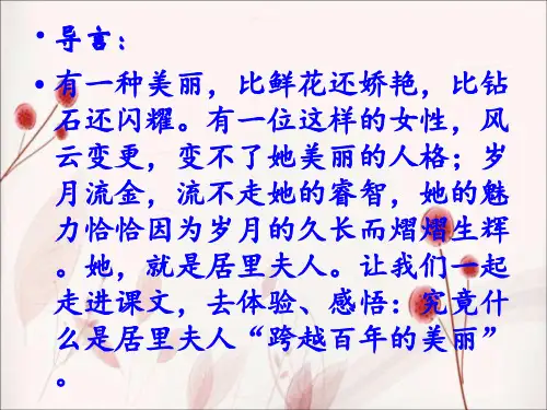 18.跨越百年的美丽ppt课件
