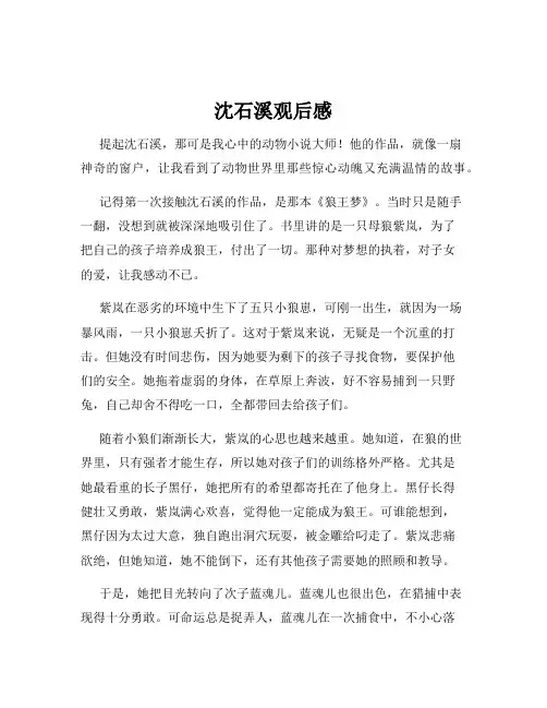 沈石溪观后感