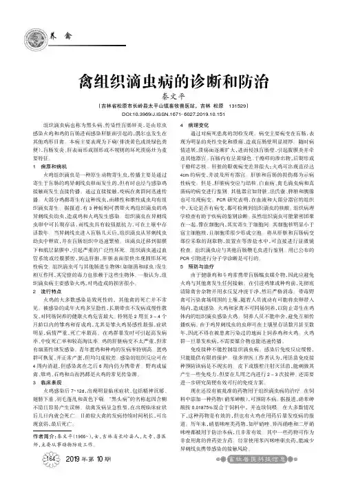 禽组织滴虫病的诊断和防治