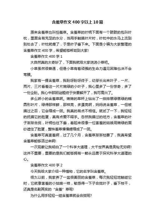 含羞草作文400字以上10篇