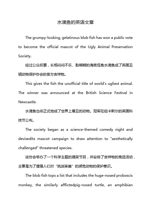水滴鱼的英语文章