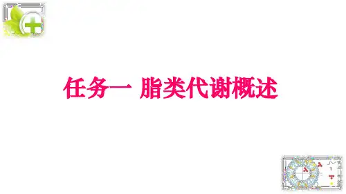 脂类代谢