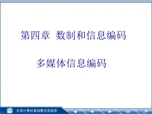 多媒体信息编码ppt课件