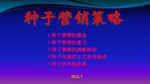 种子营销策略