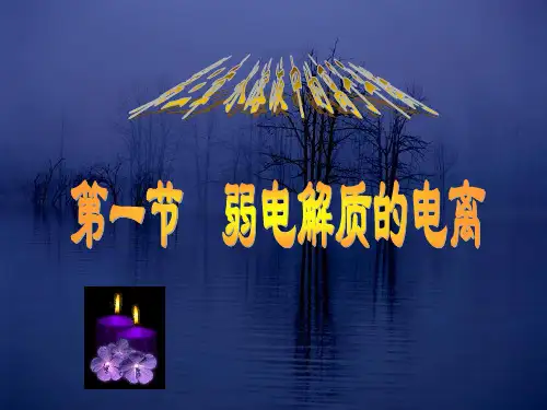 人教版化学《弱电解质的电离》ppt课件1