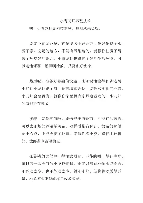 小青龙虾养殖技术