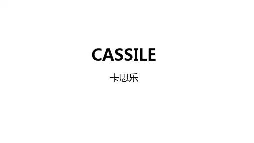CASSILE品牌介绍