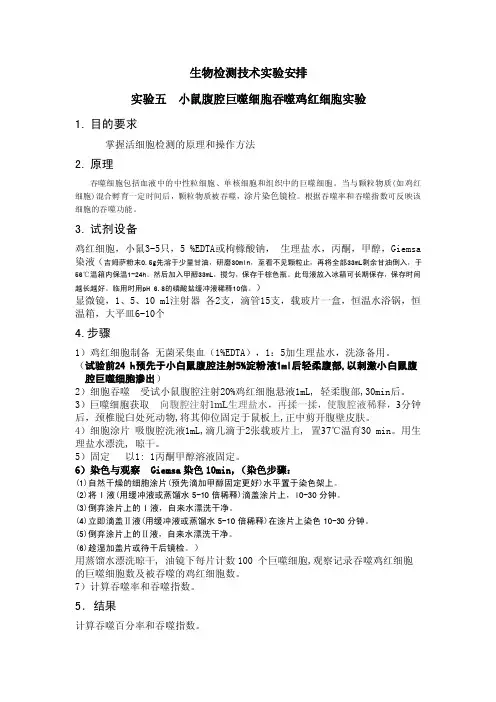 小鼠腹腔巨噬细胞吞噬鸡红细胞实验