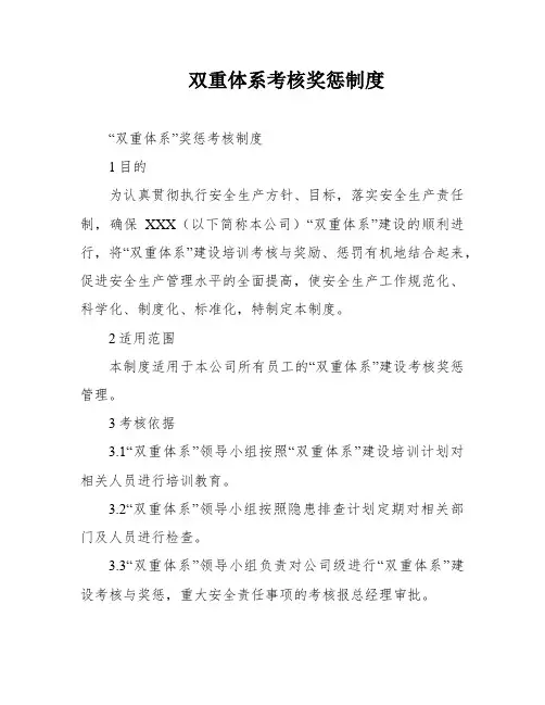 双重体系考核奖惩制度