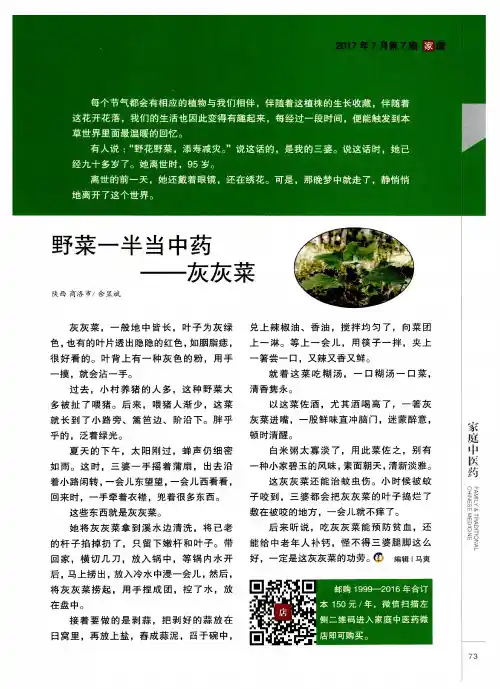 野菜一半当中药——灰灰菜