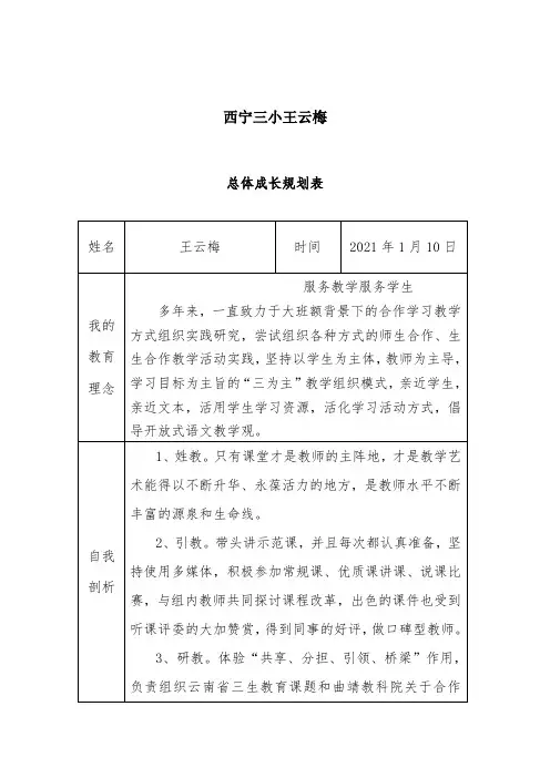 教师个人专业成长记录袋(王云梅)