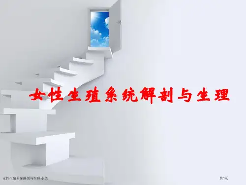 女性生殖系统解剖与生理 小结