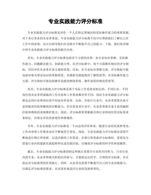 专业实践能力评分标准
