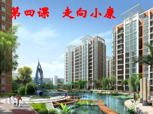 《走向小康》课件