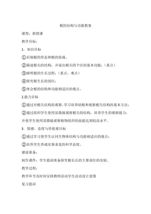 根的结构与功能教案