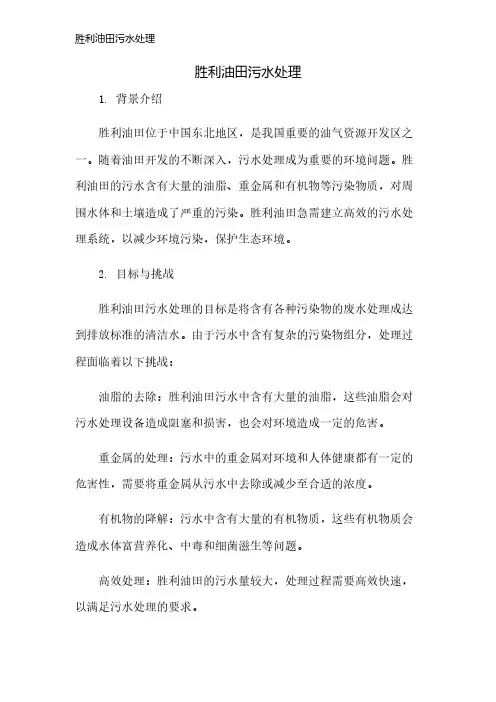 胜利油田污水处理