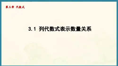 3.1 列代数式表示数量关系 (课件)人教版(2024)数学七年级上册