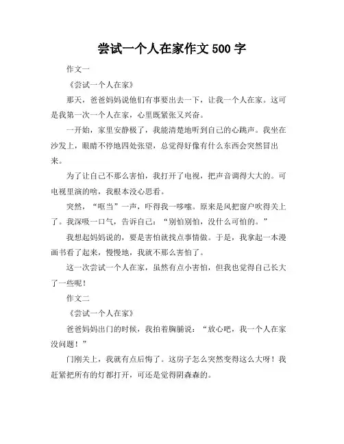 尝试一个人在家作文500字