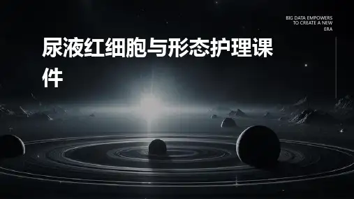 尿液红细胞与形态护理课件