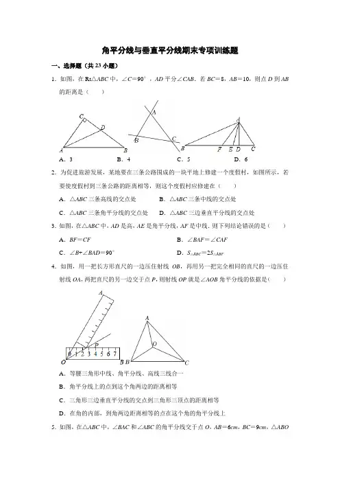 角平分线与垂直平分线期末专项训练题