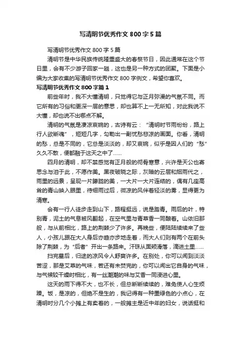 写清明节优秀作文800字5篇