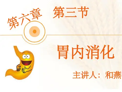 生理学-胃内消化ppt课件