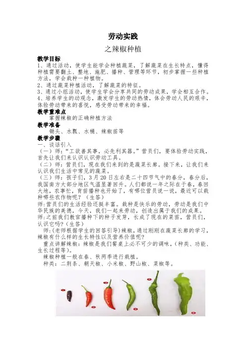 中小学综合实践基地《辣椒种植》教案