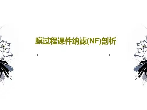 膜过程课件纳滤(NF)剖析47页PPT