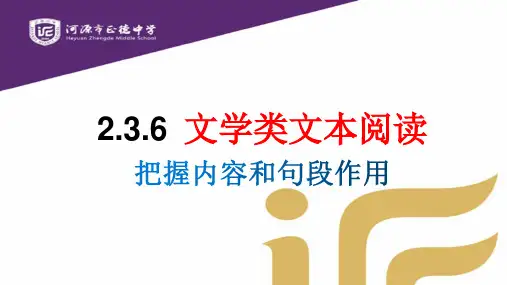 文学类文本阅读-广东省河源市正德中学九年级语文下册课件(共25张PPT)