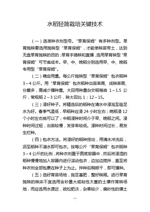 水稻轻简栽培关键技术