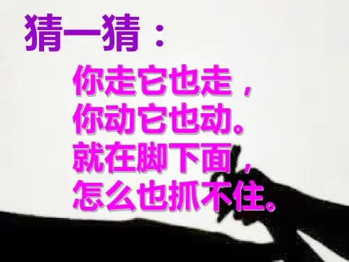 二年级下册美术课件-17《影子大王》3