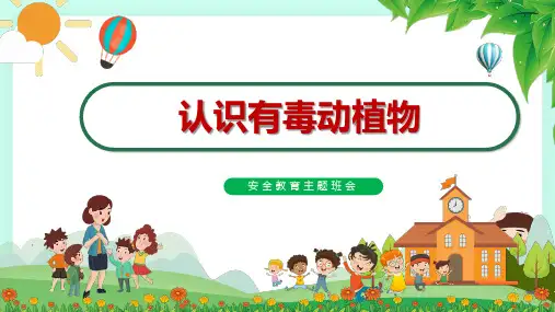 认识有毒动植物预防野外中毒蜜蜂蜇伤怎么办安全教育课件