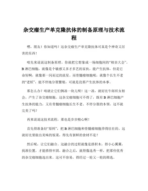 杂交瘤生产单克隆抗体的制备原理与技术流程