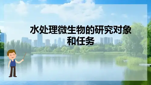 水处理微生物概述—水处理微生物的研究对象和任务