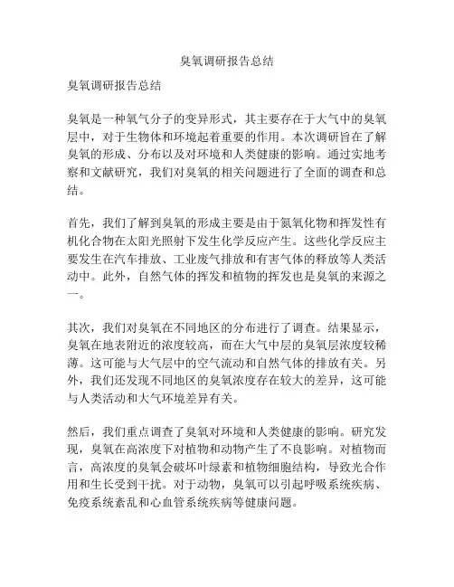 臭氧调研报告总结