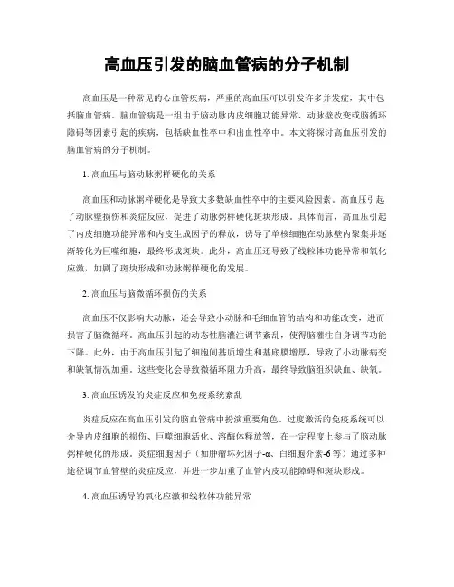 高血压引发的脑血管病的分子机制