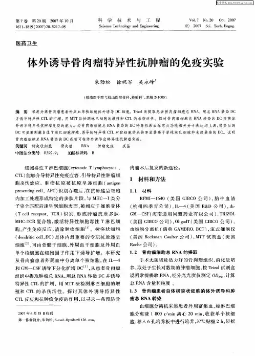 体外诱导骨肉瘤特异性抗肿瘤的免疫实验