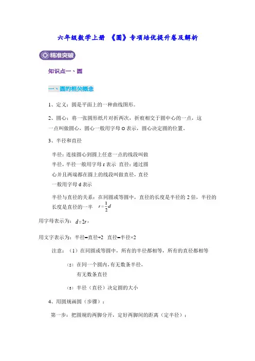 六年级数学上册 《圆》专项培优提升卷及解析