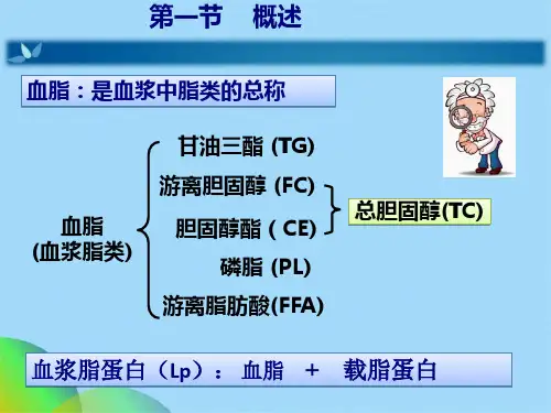 脂代谢检验ppt(共51张PPT)