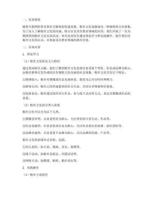 粉丝文化实训报告