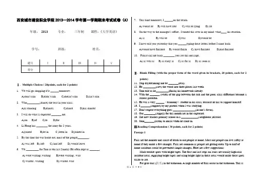 2013-2014大学英语试卷A