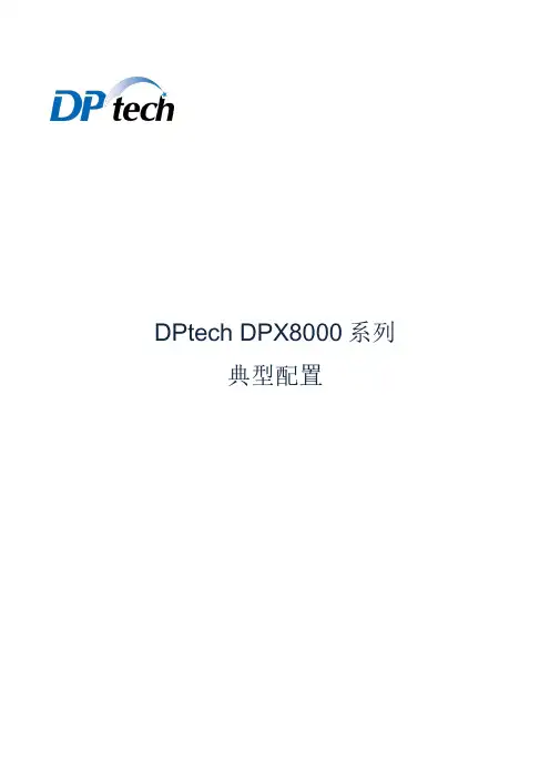 DPtechDPX8000系列典型配置(PDF 155页)