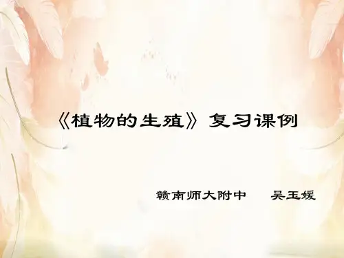 植物的生殖PPT课件30 人教版