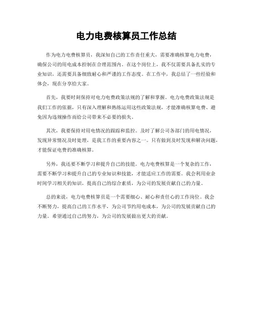 电力电费核算员工作总结