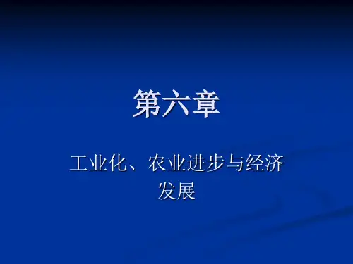 第6章工业化、农业进步与经济发展^^
