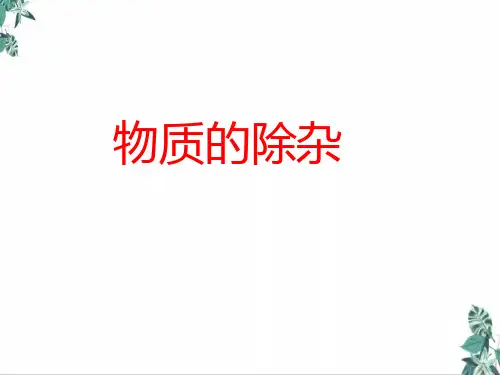 中考化学专题复习物质的除杂(15张)