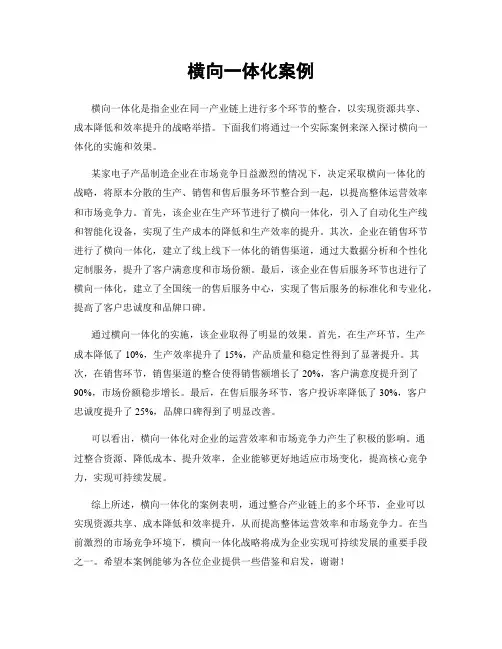 横向一体化案例