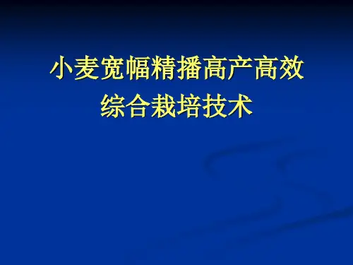 小麦宽幅播种