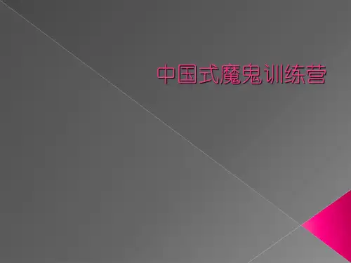 中国式魔鬼训练营PPT课件