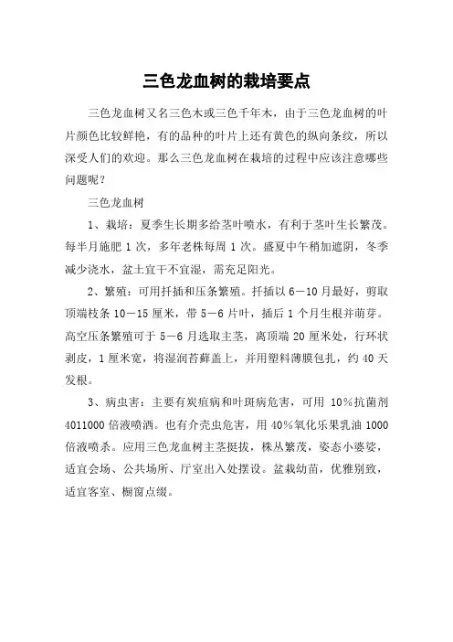 三色龙血树的栽培要点